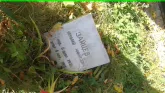 Захоронение ID 189696