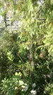 Захоронение ID 189792