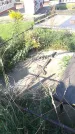 Захоронение ID 189782