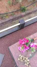 Захоронение ID 189511
