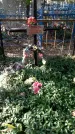 Захоронение ID 189500