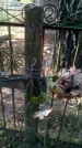 Захоронение ID 190154