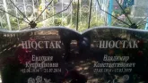 Захоронение ID 188667
