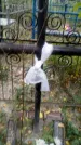 Захоронение ID 190455