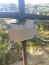 Захоронение ID 42400