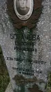 Захоронение ID 189447