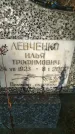 Захоронение ID 188800