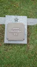 Захоронение ID 189916
