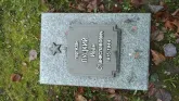 Захоронение ID 190197