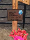 Захоронение ID 190895