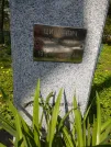 Захоронение ID 190985