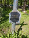 Захоронение ID 191011