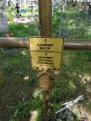 Захоронение ID 191035