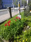 Захоронение ID 191040
