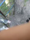 Захоронение ID 191116