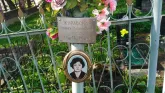 Захоронение ID 191459
