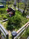 Захоронение ID 192023