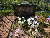 Захоронение ID 192049