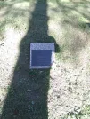 Захоронение ID 192294
