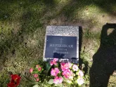 Захоронение ID 192416
