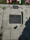 Захоронение ID 192531