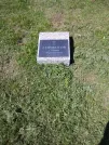 Захоронение ID 192543