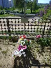 Захоронение ID 192837