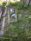 Захоронение ID 193238