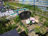 Захоронение ID 193520