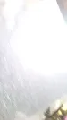 Захоронение ID 193826