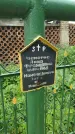 Захоронение ID 194053