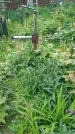 Захоронение ID 194072