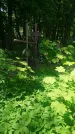 Захоронение ID 194091