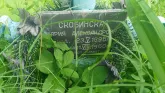 Захоронение ID 194138