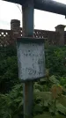 Захоронение ID 194157