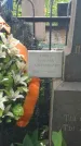 Захоронение ID 194206