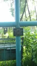 Захоронение ID 194375