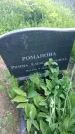 Захоронение ID 194441