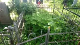 Захоронение ID 194541