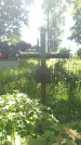 Захоронение ID 194536