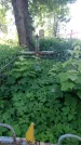Захоронение ID 194569