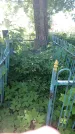 Захоронение ID 194570