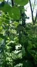 Захоронение ID 194611
