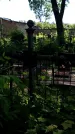 Захоронение ID 194619