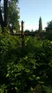 Захоронение ID 194652