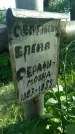 Захоронение ID 194656