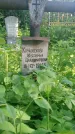 Захоронение ID 194678