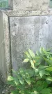 Захоронение ID 194696
