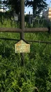 Захоронение ID 194717