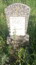 Захоронение ID 194719